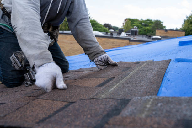 Gutter Replacement in Midway North, TX